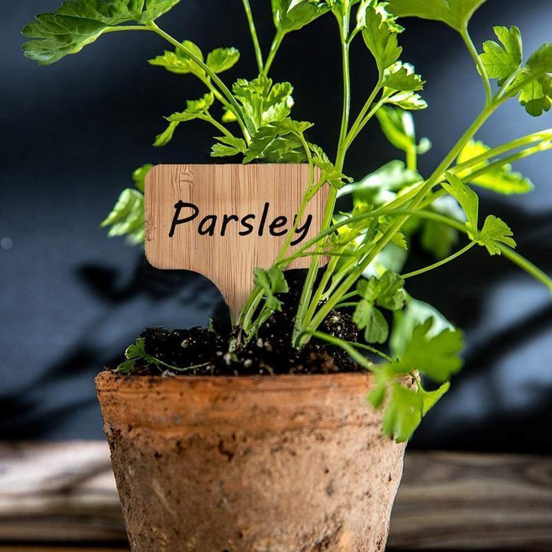Floroux Wooden Plant Labels | Environmentally Friendly | Perfect for Garden & Balcony | Marker Labels for Plants