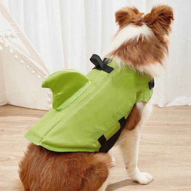 Gilet de natation pour chien requin