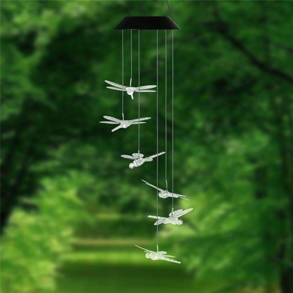 Floroux LED Solaire Colibri DrangFly Lampe