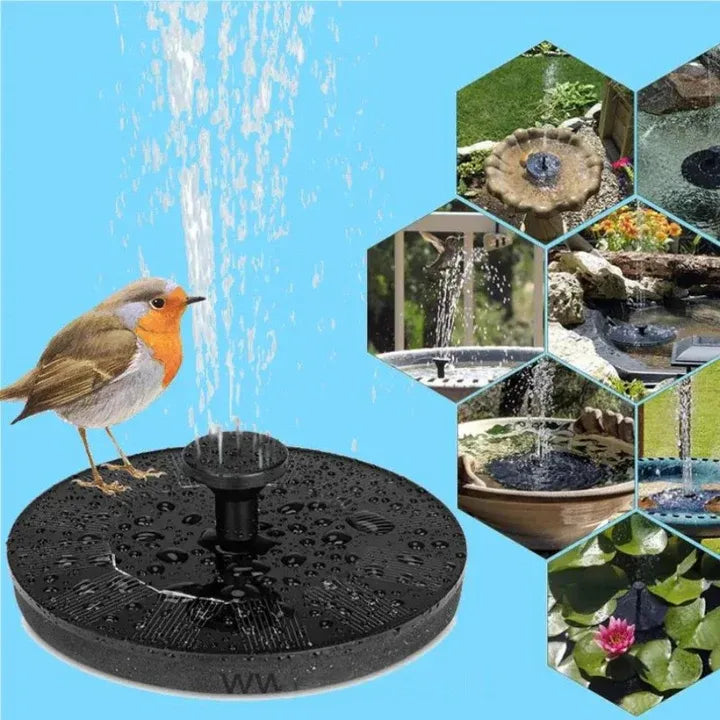 Flowbee – Fontaine solaire élégante pour les oiseaux de jardin