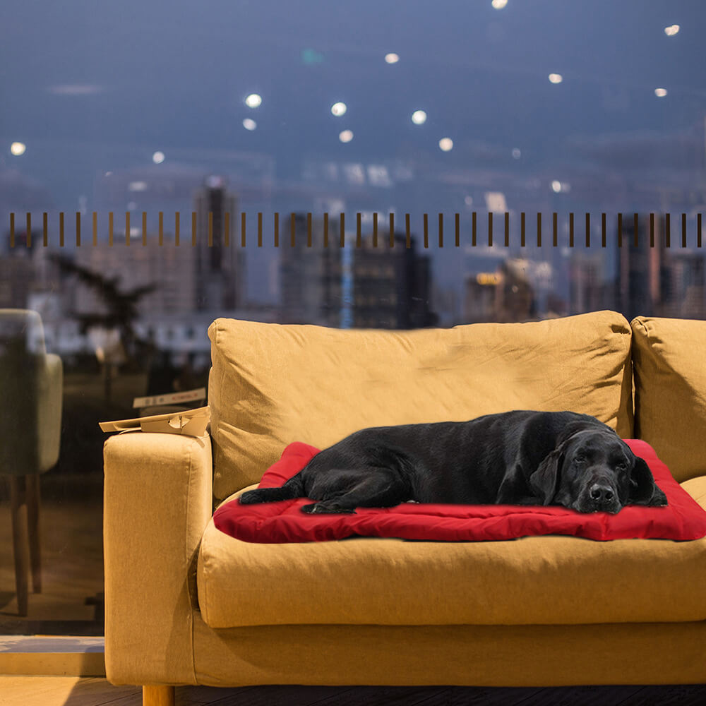 Tapis de voyage pour chien extérieur pliable durable et imperméable
