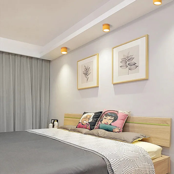Floroux Cylindre LED Plafonniers pour Couloirs