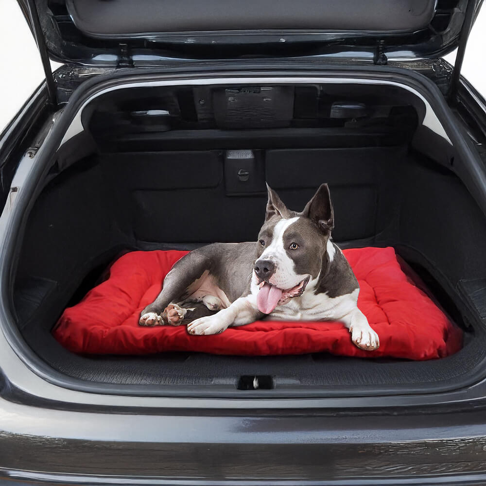 Tapis de voyage pour chien extérieur pliable durable et imperméable