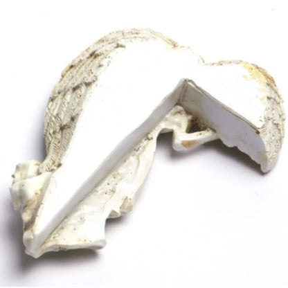 Floroux - Ange ailé blanc Décor