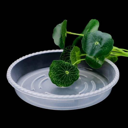 Floroux Ensemble de sous-verres transparents en plastique 10 pièces | Protection des plantes pour la maison et le jardin