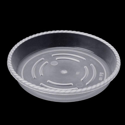 Floroux Ensemble de sous-verres transparents en plastique 10 pièces | Protection des plantes pour la maison et le jardin