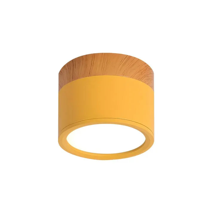 Floroux Cylindre LED Plafonniers pour Couloirs