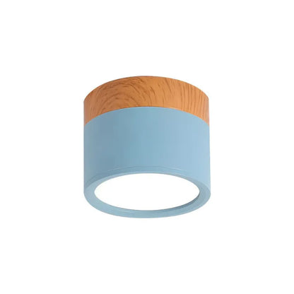 Floroux Cylindre LED Plafonniers pour Couloirs