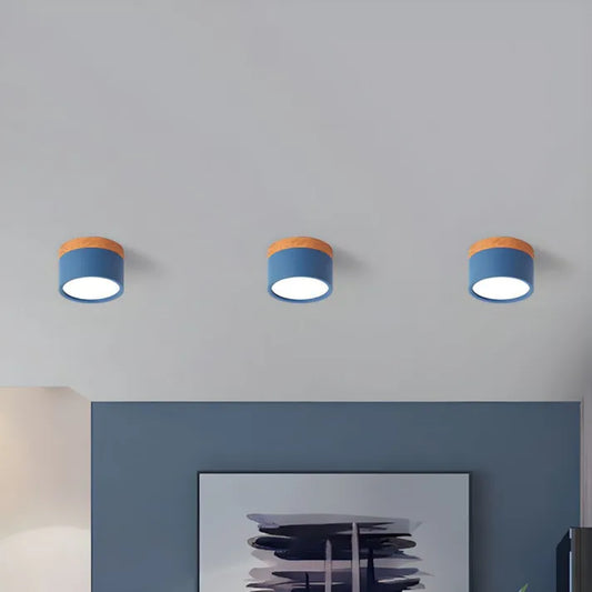 Floroux Cylindre LED Plafonniers pour Couloirs