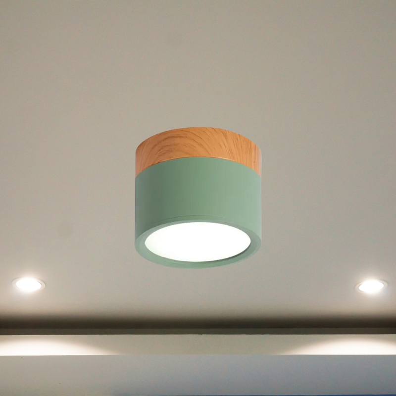 Floroux - Éclairage de plafond LED élégant pour couloirs modernes au design minimaliste