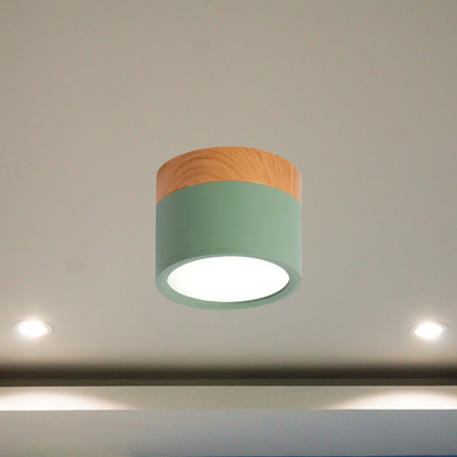 Floroux - Éclairage de plafond LED élégant pour couloirs modernes au design minimaliste