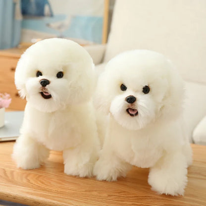 Floroux - Chiens Samoyeds câlins pour enfants et adultes