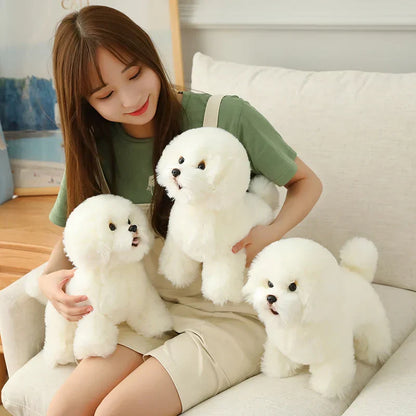 Floroux - Chiots Samoyède Câlins pour Enfants et Adultes