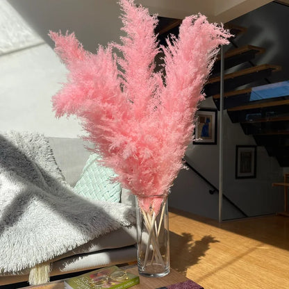 BohoBliss - Fleurs de Pampa Séchées