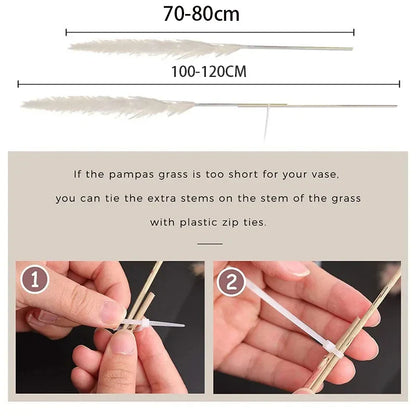 BohoBliss - Fleurs de Pampa Séchées