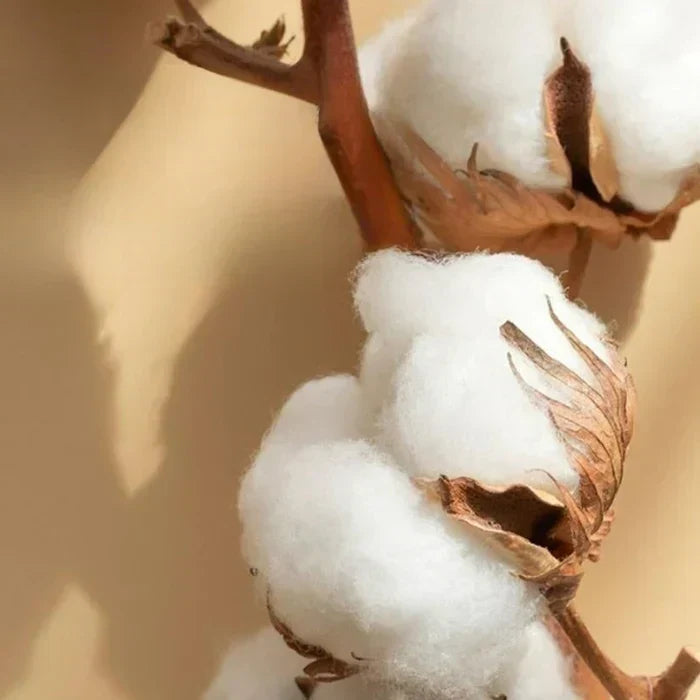 Ensemble de literie en coton satiné brodé - Luxora