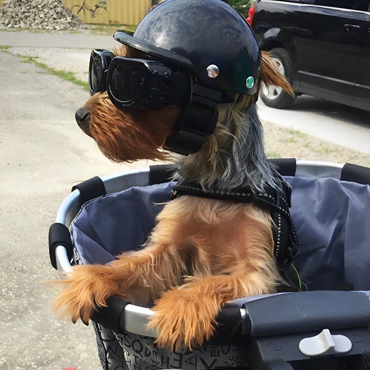 Casque de moto et lunettes de protection pour chiens – Tendance et sûr