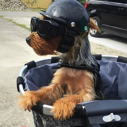 Casque de moto et lunettes de protection pour chiens – Tendance et sûr