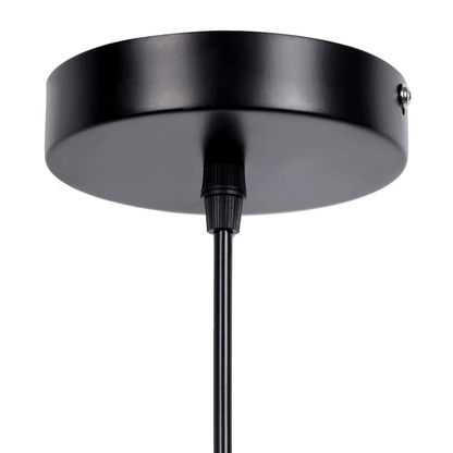 Floroux | Lampe de plafond élégante Schatten