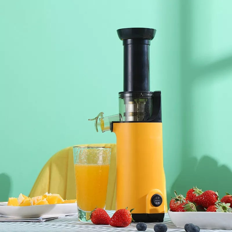 Extracteur de jus lent Blender
