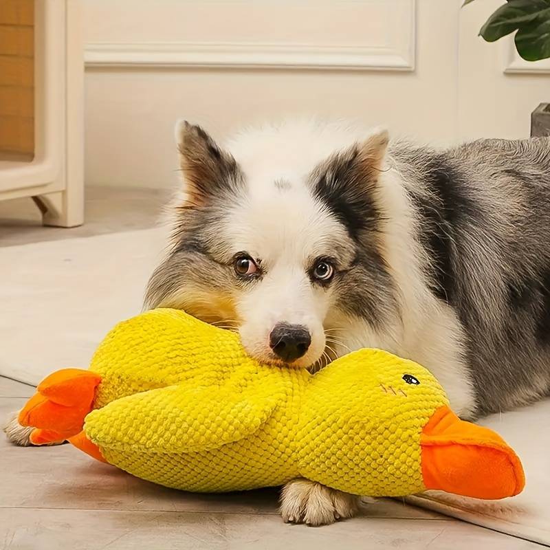 Floroux Calming Duck for Dogs | Stress Relief | Scented Toy | Canine Well-being