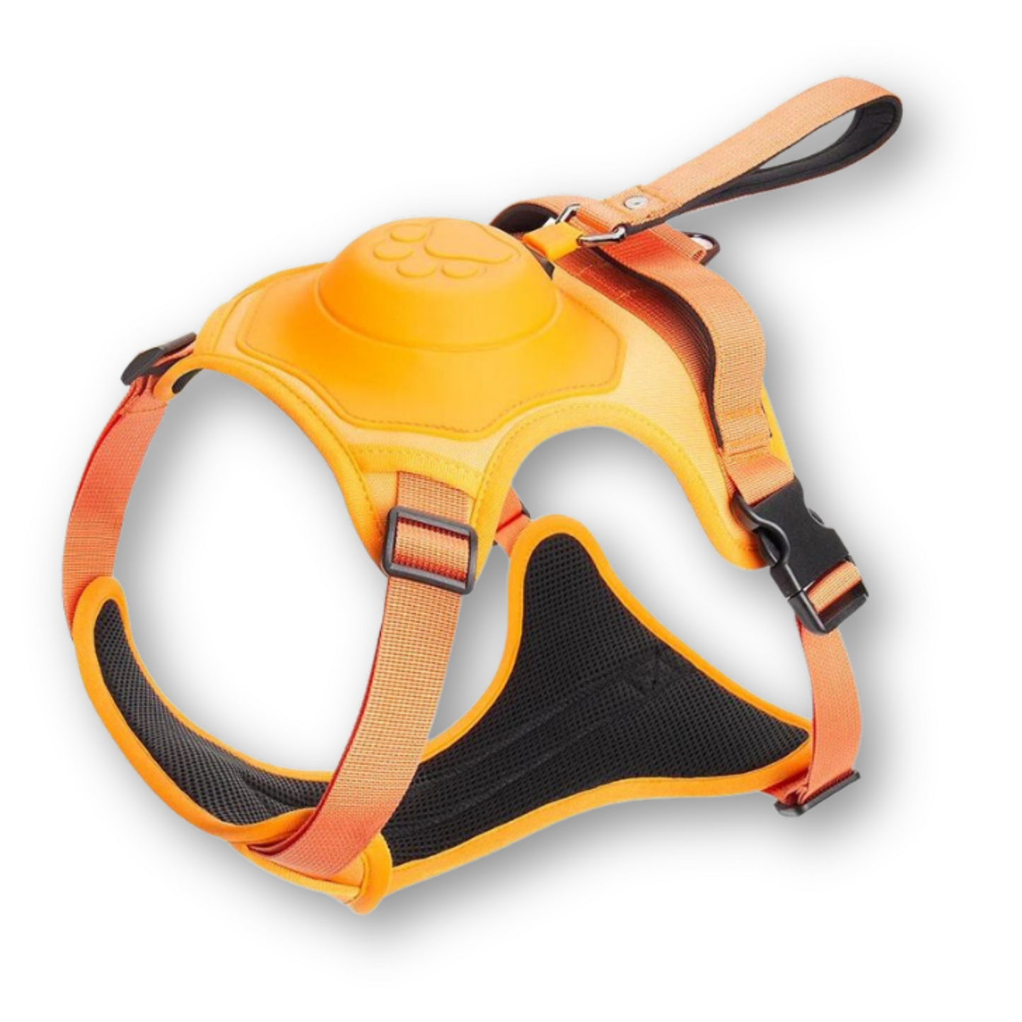 FlexiHarnais – Confortable harnais pour chien 2-en-1 avec laisse