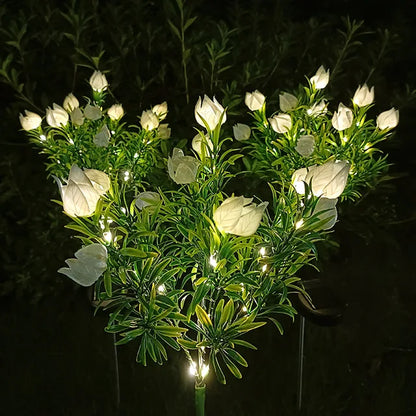 Floroux - Solar Gardenia Lights