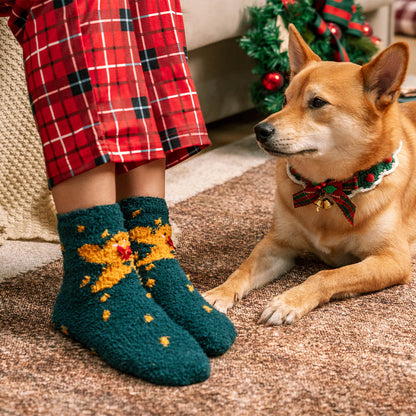 Écharpe tricotée de Noël, chaussettes assorties pour animal de compagnie et propriétaire