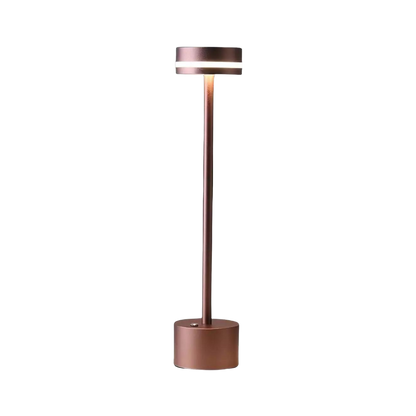 Lumière de rayonnement sans fil portable