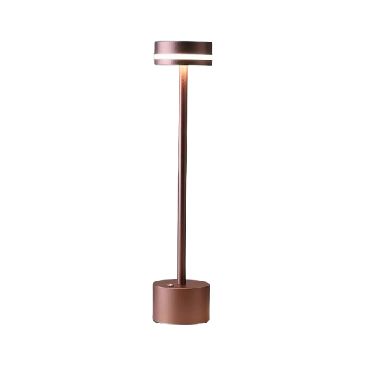 Lumière de rayonnement sans fil portable