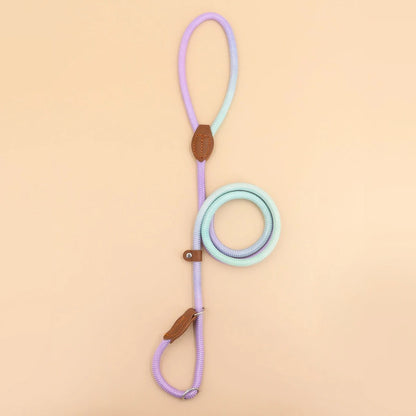 Clémentine Laisse – Couleur Chien Lien pour Promenades Élégantes