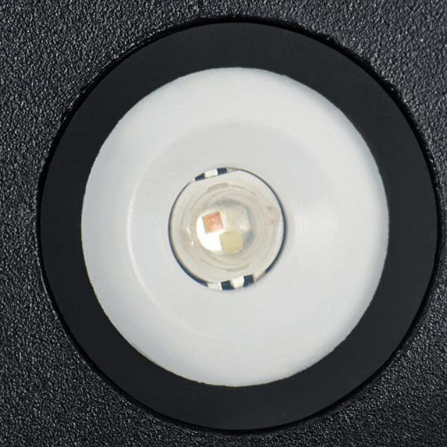 Floroux LED Applique Murale | Design Créatif en Coquillage | Aluminium | Étanche | Éclairage Exterieur