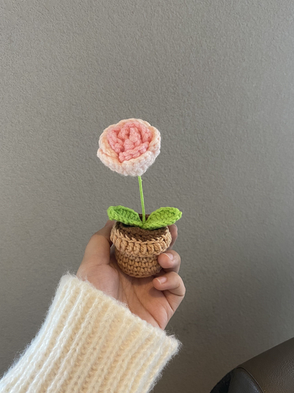 Décor de pot de fleurs au crochet fait main