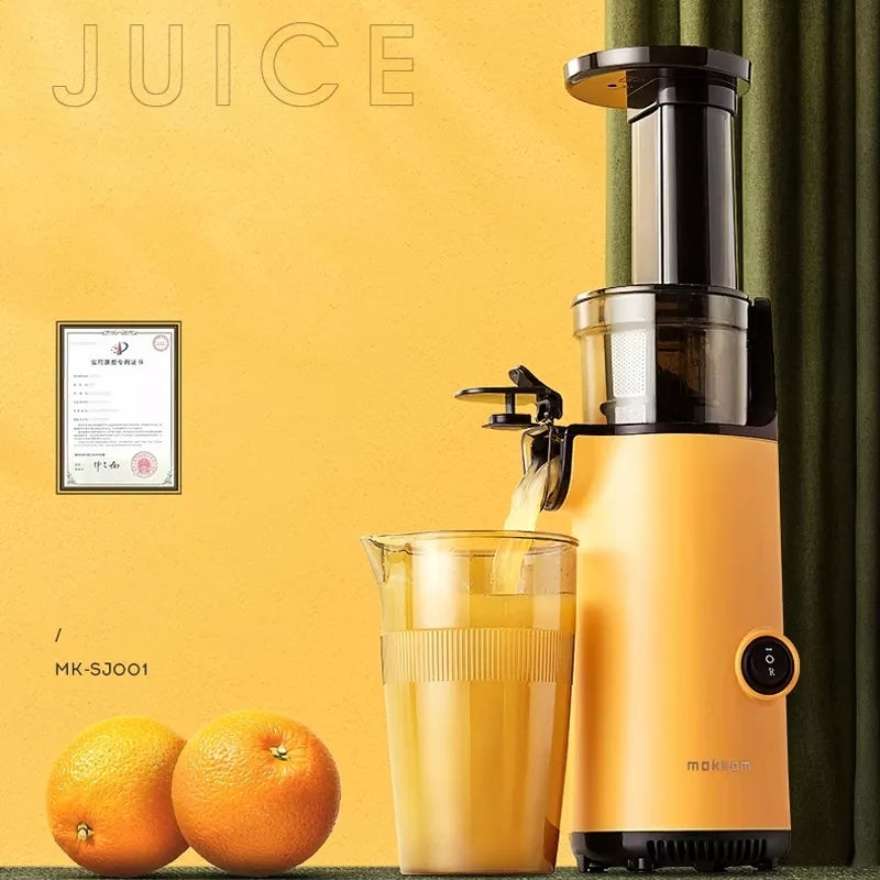 Extracteur de jus lent Blender