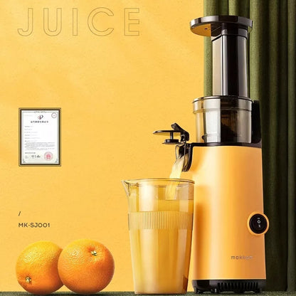 Extracteur de jus lent Blender