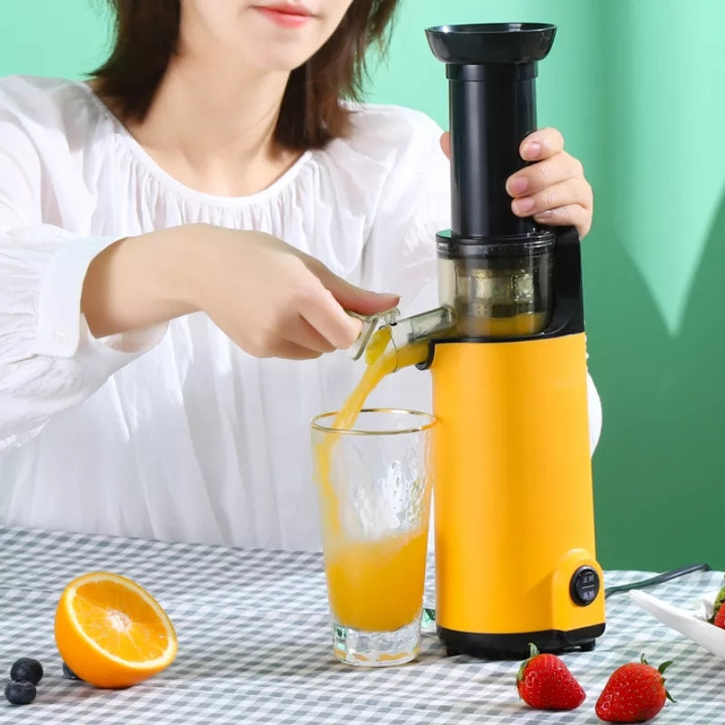 Extracteur de jus lent Blender