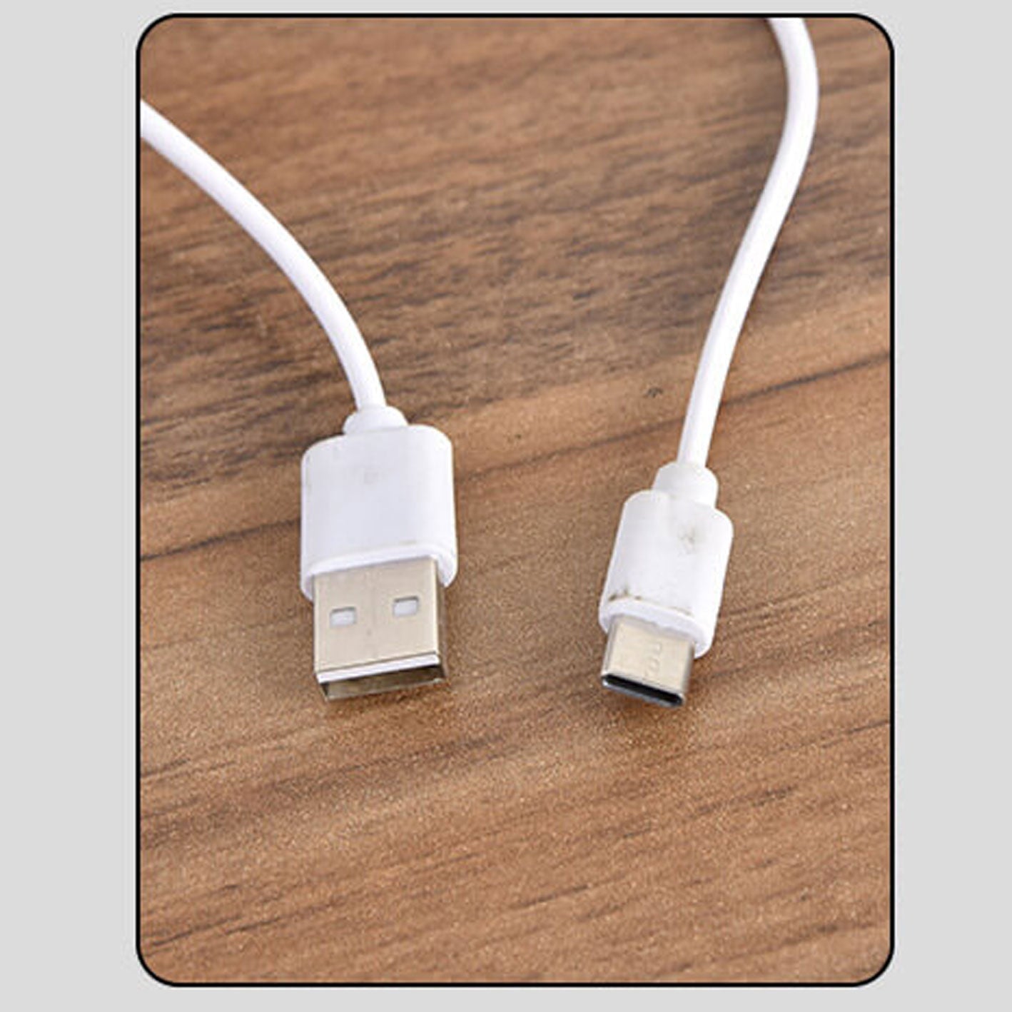 Floroux LED Table Lamp Nordic | USB Charge | Night Light with Bird Clip | Modern Design