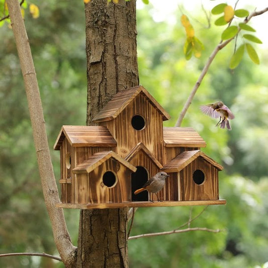 Floroux | Maison des oiseaux confortable et élégante