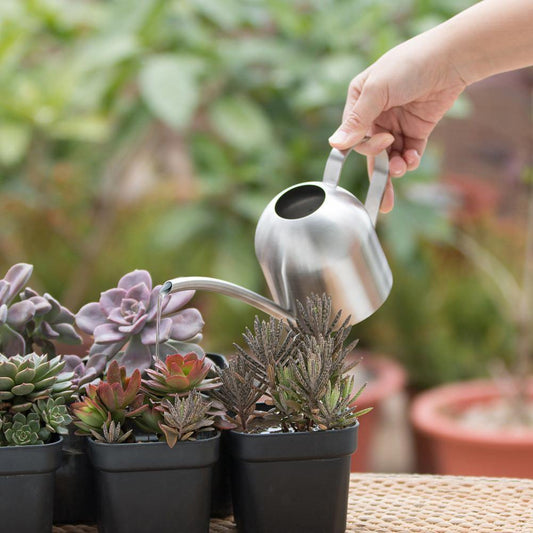 Stainless steel watering can Floroux with flexible spout | Modern design | Perfect watering | Rust resistant