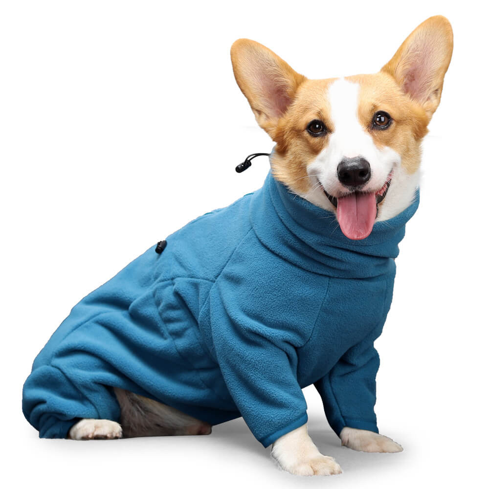 Costume en polaire pour chien – Chaleur confortable et complète pour tout le corps par temps froid
