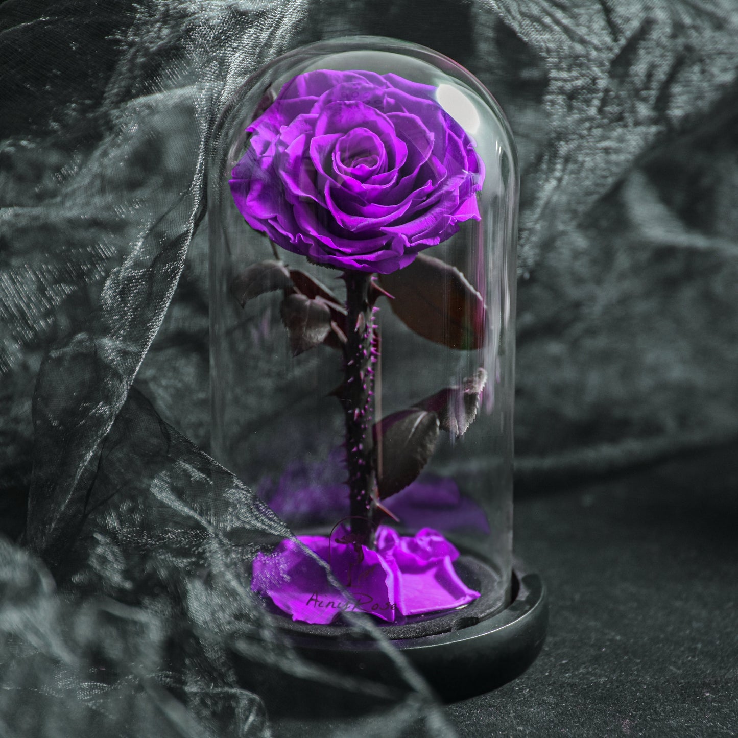 Floroux Eternal Rose in a Glass Dome | Timeless Decorative Rose | Elegant Gift for Any Occasion