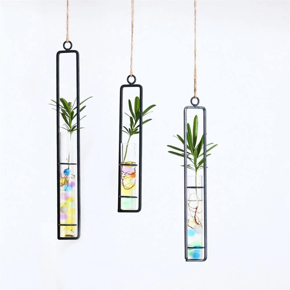 Floroux Hanging Glass Terrarium | Iron Stand | Modern Design | Perfect for Plant Propagation and Decoration