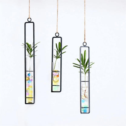 Floroux Hanging Glass Terrarium | Iron Stand | Modern Design | Perfect for Plant Propagation and Decoration