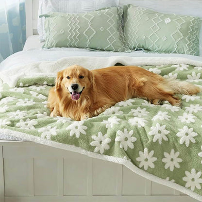 Couverture pour chien Sherpa multifonctionnelle imperméable floquée Cloud