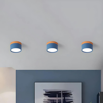 Floroux - Luminaire LED de plafond élégant pour couloirs modernes au design minimaliste