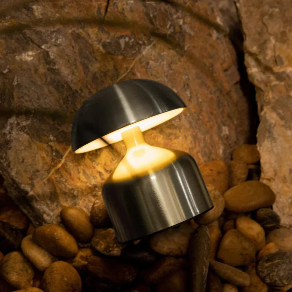 Nickel brillant lumineux