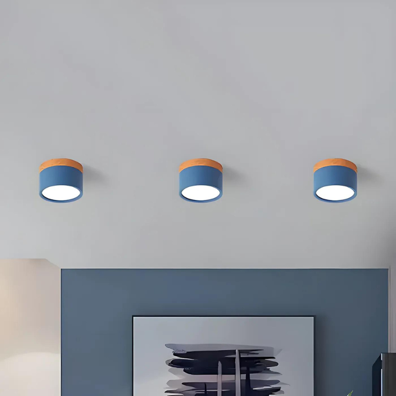 Floroux - Éclairage de plafond LED élégant pour couloirs modernes au design minimaliste