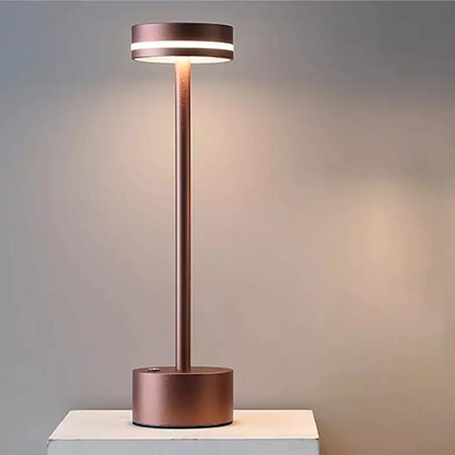 Lumière de rayonnement sans fil portable