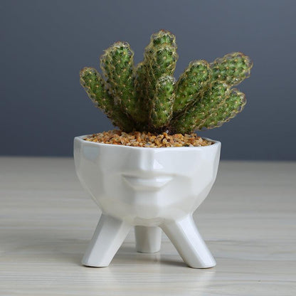 Floroux - 2 Piece Set White Ceramic Succulent Pots | Modern Design | Home & Office Decor