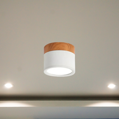Floroux - Luminaire LED de plafond élégant pour couloirs modernes au design minimaliste